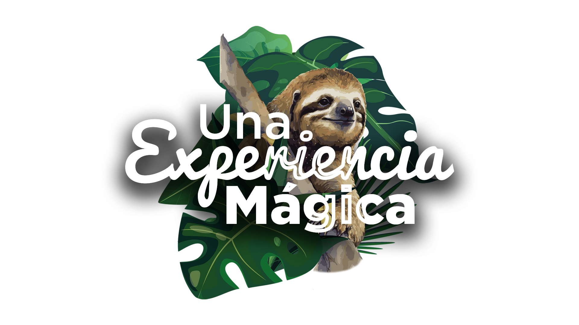 Declaracion 1 – Design